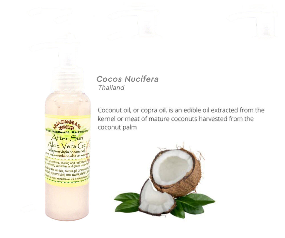 Aloe Vera Gel – Lemongrass House Philippines