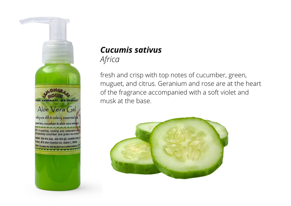 aloe vera gel philippines Aloe Vera Gel – Lemongrass House Philippines