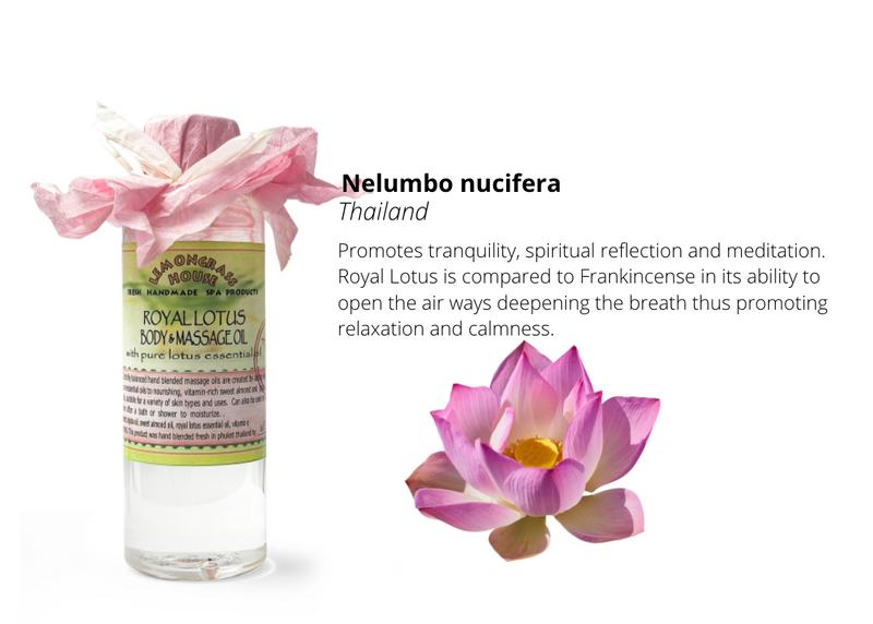 Lotus massage gel for 2025 oily skin