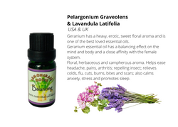Pure Essential Oils Blends